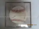 Baseball Official Ball