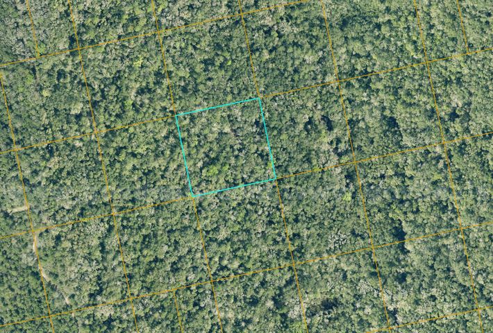 2.5 Acres in Oak Hill, Florida - Near Cape Canaveral! | GovDeals