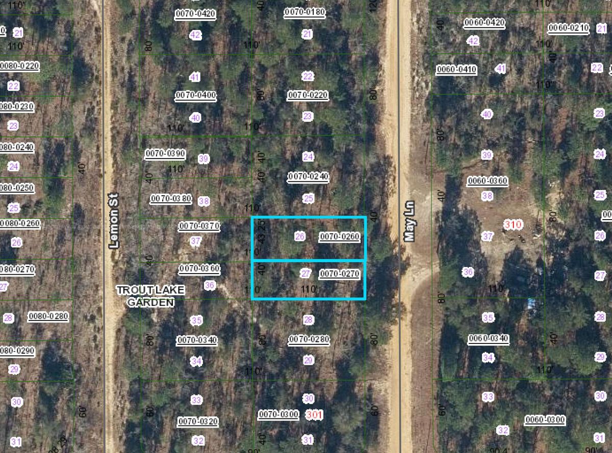 Putnam County, Florida - Two Adjoining Residential Lots in Interlachen ...