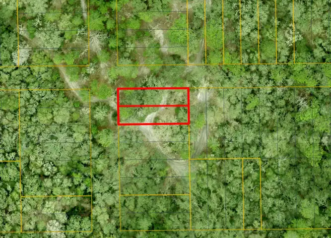 Orange City, Florida - 2 Adjoining Lots - Near Blue Springs State Park!!!