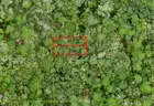 Orange City, Florida - 2 Adjoining Lots - Near Blue Springs State Park!!!
