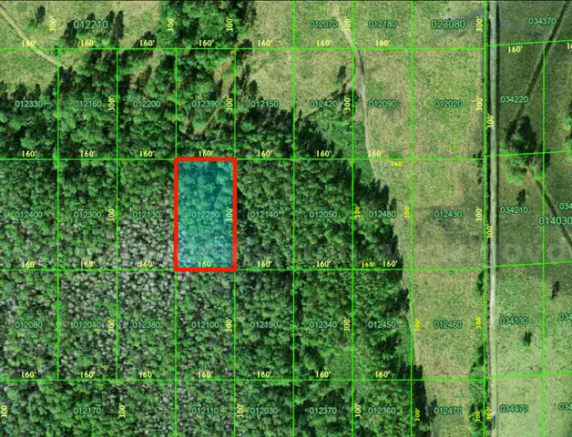 Polk City, Florida - 1.1 Acre Near Orlando!