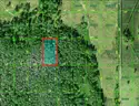 Polk City, Florida - 1.1 Acre Near Orlando!