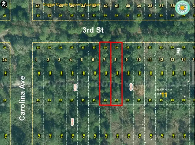 Orlando, Florida - 2 Adjoining Vacant Lots