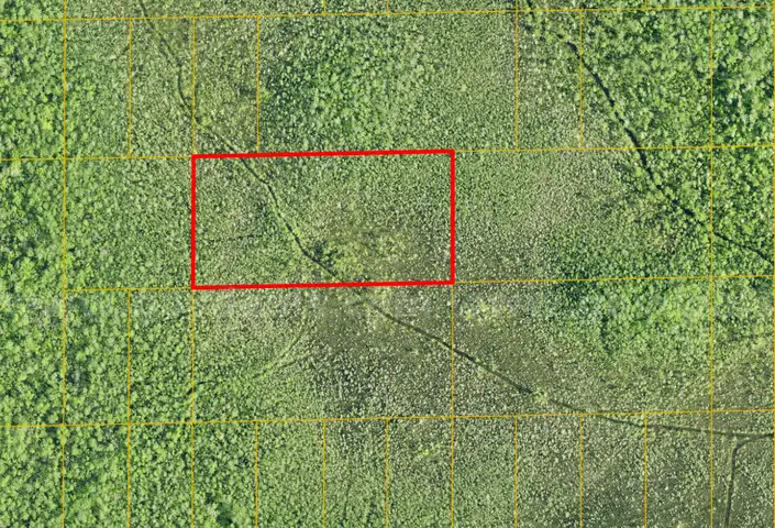 Deland, Florida - 5 Acres- 4 Adjoinging Lots