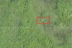 Deland, Florida - 5 Acres- 4 Adjoinging Lots