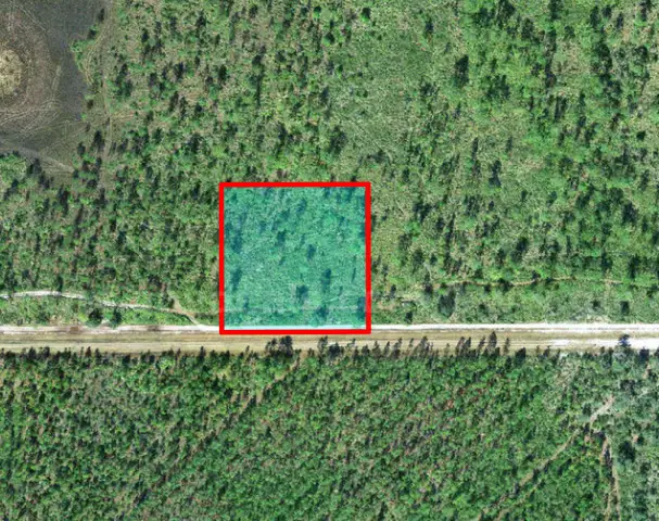 Frostproof, Florida - 2.54 Acres Near Orlando!