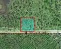 Frostproof, Florida - 2.54 Acres Near Orlando!