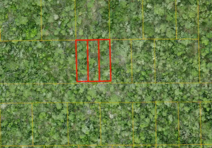 Lake Helen, Florida - 3 Adjoining Res Lots in Volusia County
