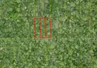 Lake Helen, Florida - 3 Adjoining Res Lots in Volusia County