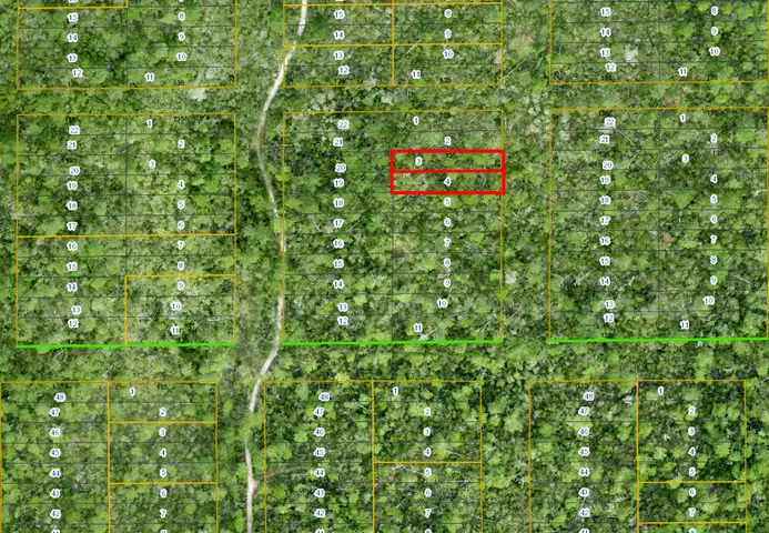 Lake Helen, Florida - 2 Adjoining Res Lots in Volusia County