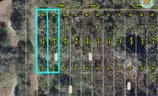 Orlando, Florida - 2 Adjoining Vacant Lots