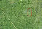 Deland, Florida - 1.25 Acres Near Daytona Park Estates W/ Easement