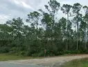Fountain, Florida -  Res Lot 30 Mi to Panama City Beach!!!