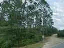 Fountain, Florida -  Res Lot 30 Mi to Panama City Beach!!!