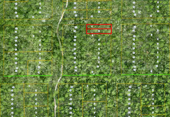 Lake Helen, Florida - 2 Adjoining Res Lots in Volusia County