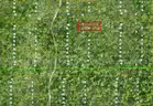 Lake Helen, Florida - 2 Adjoining Res Lots in Volusia County