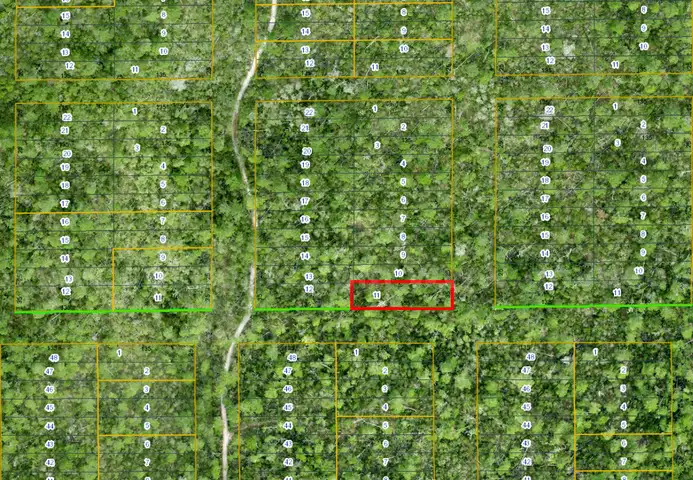Lake Helen, Florida -  Res Lot in Volusia County