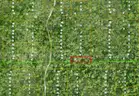 Lake Helen, Florida -  Res Lot in Volusia County