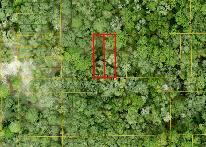 Orange City, Florida - 2 Adjoining Lots - Near Blue Springs State Park!!!