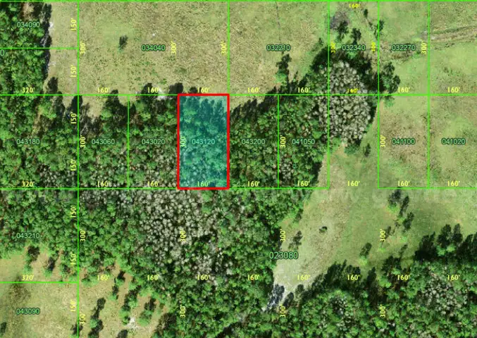 Polk City, Florida - 1.1 Acre Near Orlando