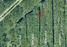 Daytona Park Estates, Florida - 2 Adj Canal Front Res Lots - 1/2 Acre!!!