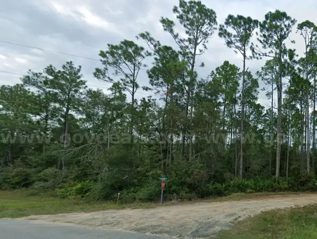 Fountain, Florida -  Res Lot 30 Mi to Panama City Beach!!!