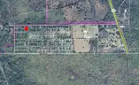 Orlando, Florida - 2 Adjoining Vacant Lots