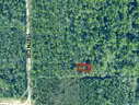 Live Oak, Florida - Residential Lot - Walk to Suwannee River