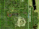 Polk City, Florida - 1.14 Acre Near Orlando W/ Right of Way!