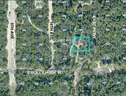 Daytona Park Estates, Florida - Residential Lot