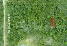 Orange City, Florida - 2 Adjoining Lots - Near Blue Springs State Park!!!