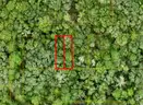 Orange City, Florida - 2 Adjoining Lots - Near Blue Springs State Park!!!