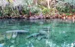 Deland, Florida - 3 Adjoining Lots - Near Blue Springs State Park!!!
