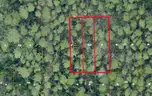 Deland, Florida - 3 Adjoining Lots - Near Blue Springs State Park!!!