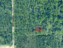 Live Oak, Florida - Residential Lot - Walk to Suwannee River