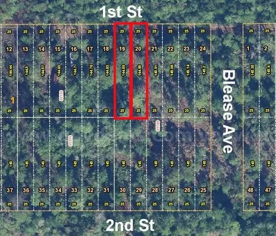 Orlando, Florida - 2 Adjoining Vacant Lots