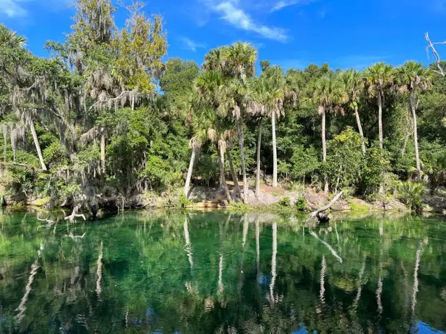 Deland, Florida - 3 Adjoining Lots - Near Blue Springs State Park!!!
