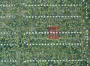 Deland, Florida - 3 Adjoining Lots - Near Blue Springs State Park!!!