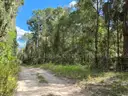 Chiefland, FL - Res Lot, 30 Mins to Cedar Key!!!