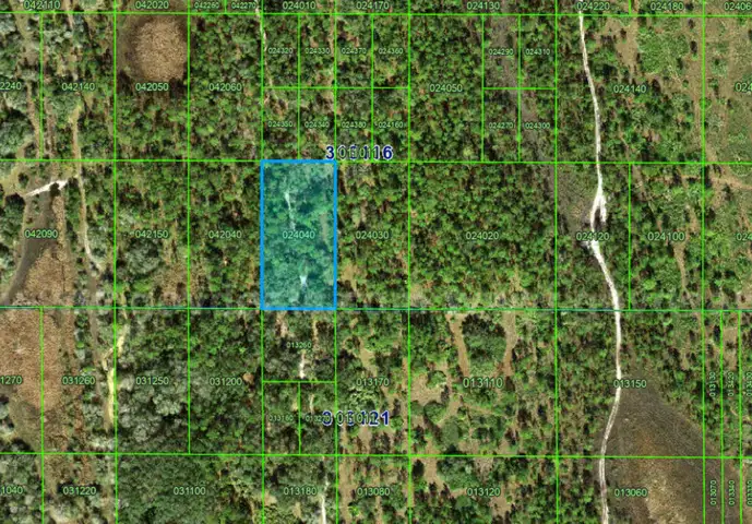 Lake Wales, Florida - 1.26 Acre Near Orlando!
