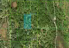 Lake Wales, Florida - 1.26 Acre Near Orlando!