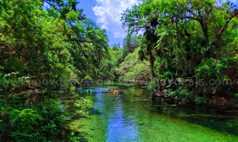 Deland, Florida - 6 Adjoining Lots - Near Blue Springs State Park!!!