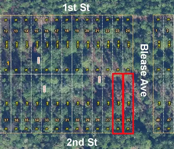 Orlando, Florida - 2 Adjoining Vacant Lots
