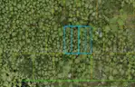 Deland, Florida - 4 Adjoining Lots - Near Blue Springs State Park!!!