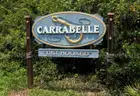 Carrabelle, Florida - Vacant Lot in Florida Panhandle - Minutes to Gulf & Beaches!