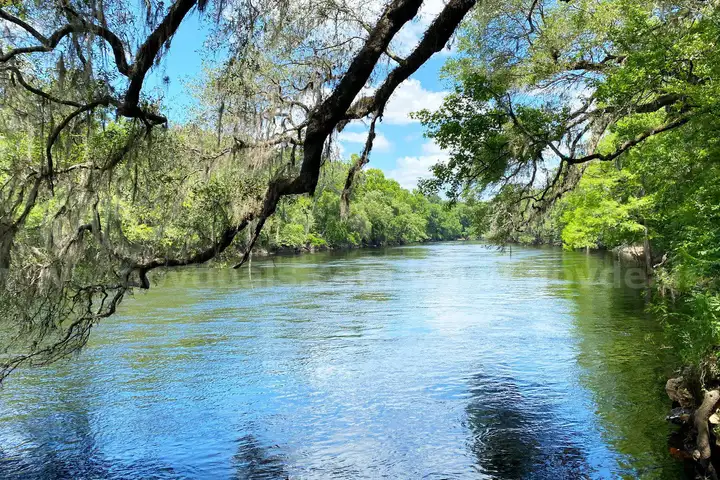 Live Oak, Florida - Residential Lot - Walk to Suwannee River