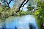 Live Oak, Florida - Residential Lot - Walk to Suwannee River