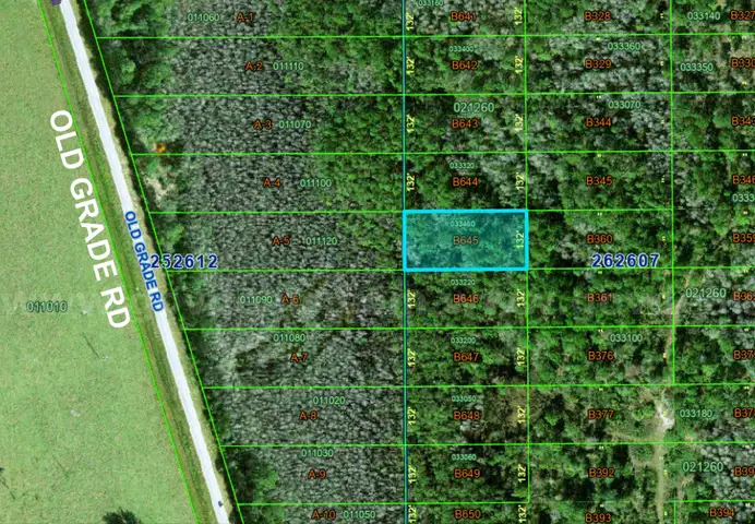 Polk City, Florida - .84 Acre Near Orlando!