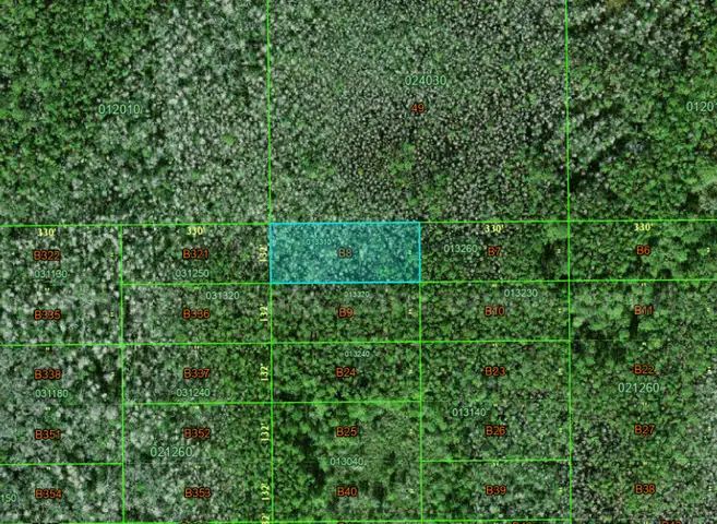 Polk City, Florida - 1 Acre Near Orlando!